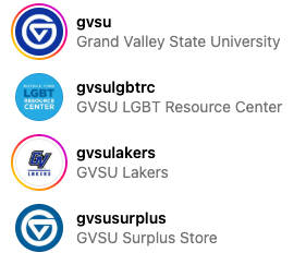 A screenshot of results from searching "gvsu" on a social media platform
